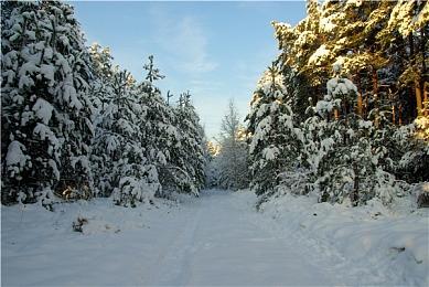 《火炬之光：无限》下周开启封测 虚幻4引擎打造